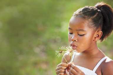 Eleven things every child should do this summer