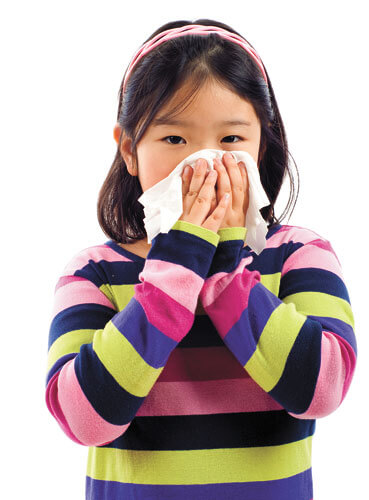 Make your home allergen-free