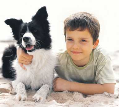 Study: pets, roaches, even mice provide immunity boost