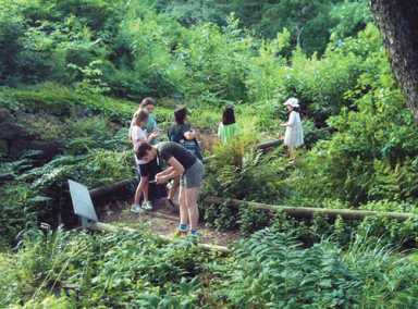 Children cool off at the Brooklyn Botanic Gardens