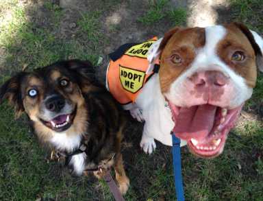 10574295_748712685190102_1116921883992707628_n