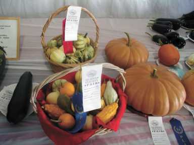 So much to do at Queens County Farm Fair