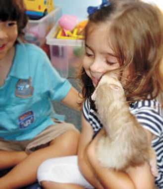 Learn the ins and outs of caring for pets