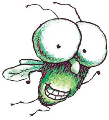 Fly by to ‘Fly Guy and Other Stories’