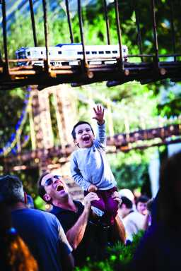 New York Botanical Garden: Tree lighting and Holiday Train Show
