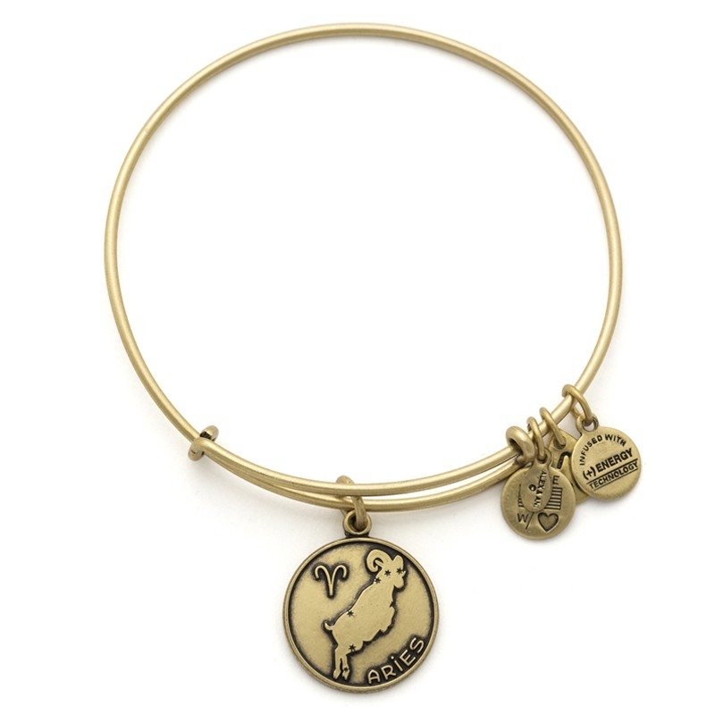 Aries Charm Bangle 