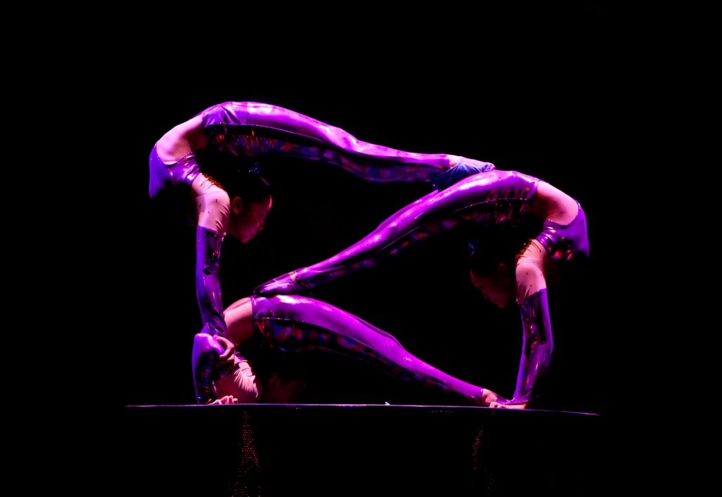 Contortionists 