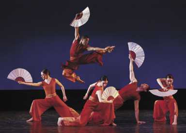 Celebrate the Chinese New Year