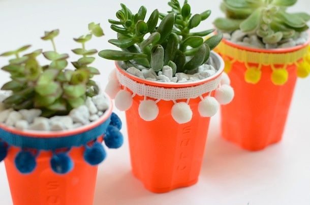 A Completely Different Use for Solo Cups