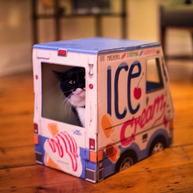 Famous OTO’s Ice Cream Truck for Cats