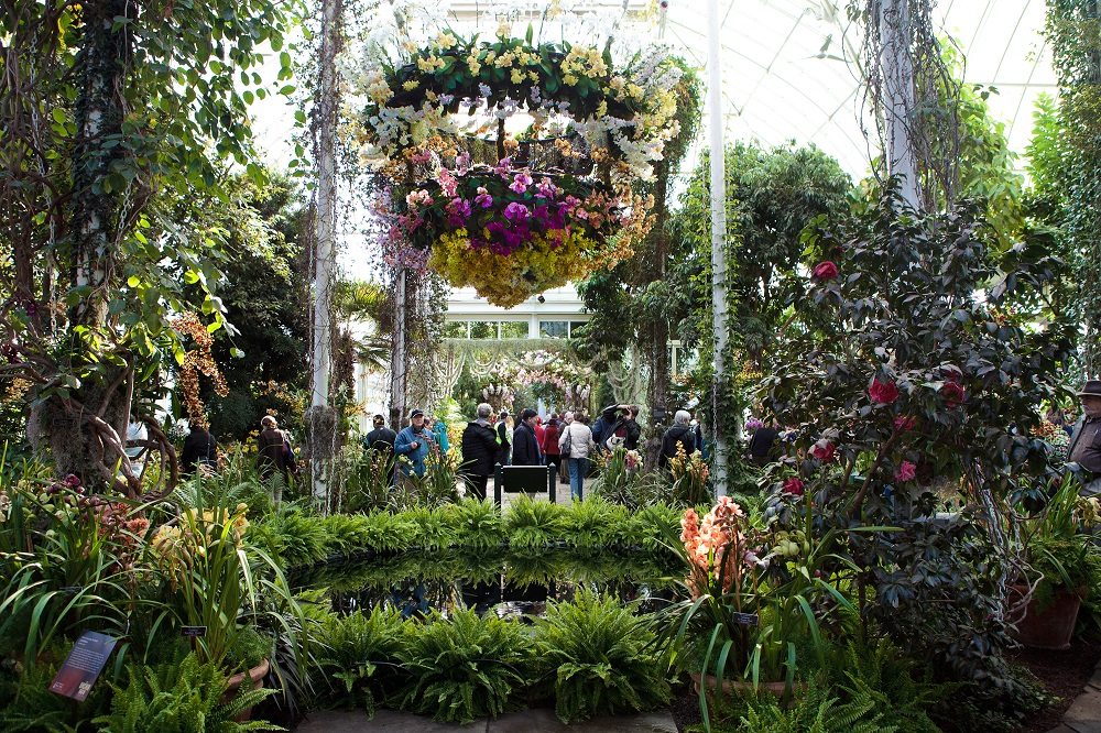 The Orchid Show: Chandeliers at the New York Botanical Garden