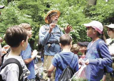 Take a foraging tour with ‘Wildman’ Steve Brill