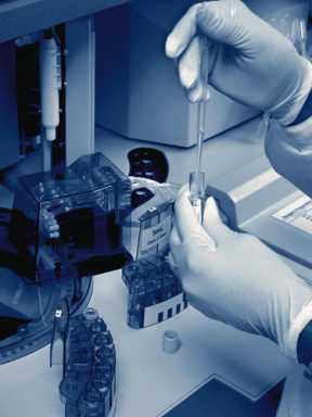 What happens to stored sperm or eggs after the donor dies?