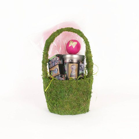 CuRious Candy Medium Moss Gift Basket