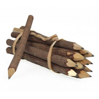 Branch Pencils