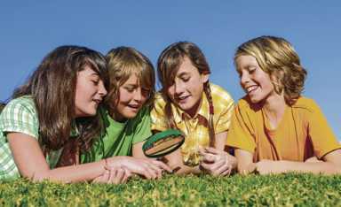 Park or garden celebrations