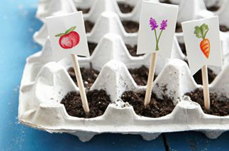 Garden Inspired Craft