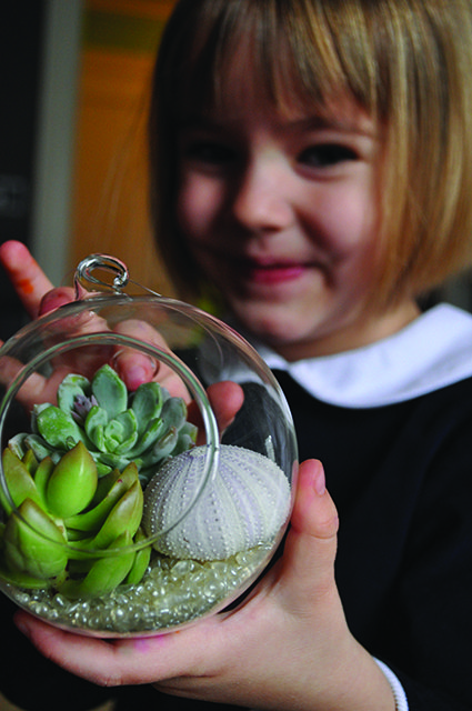 TheHort_TinyTerrariums2