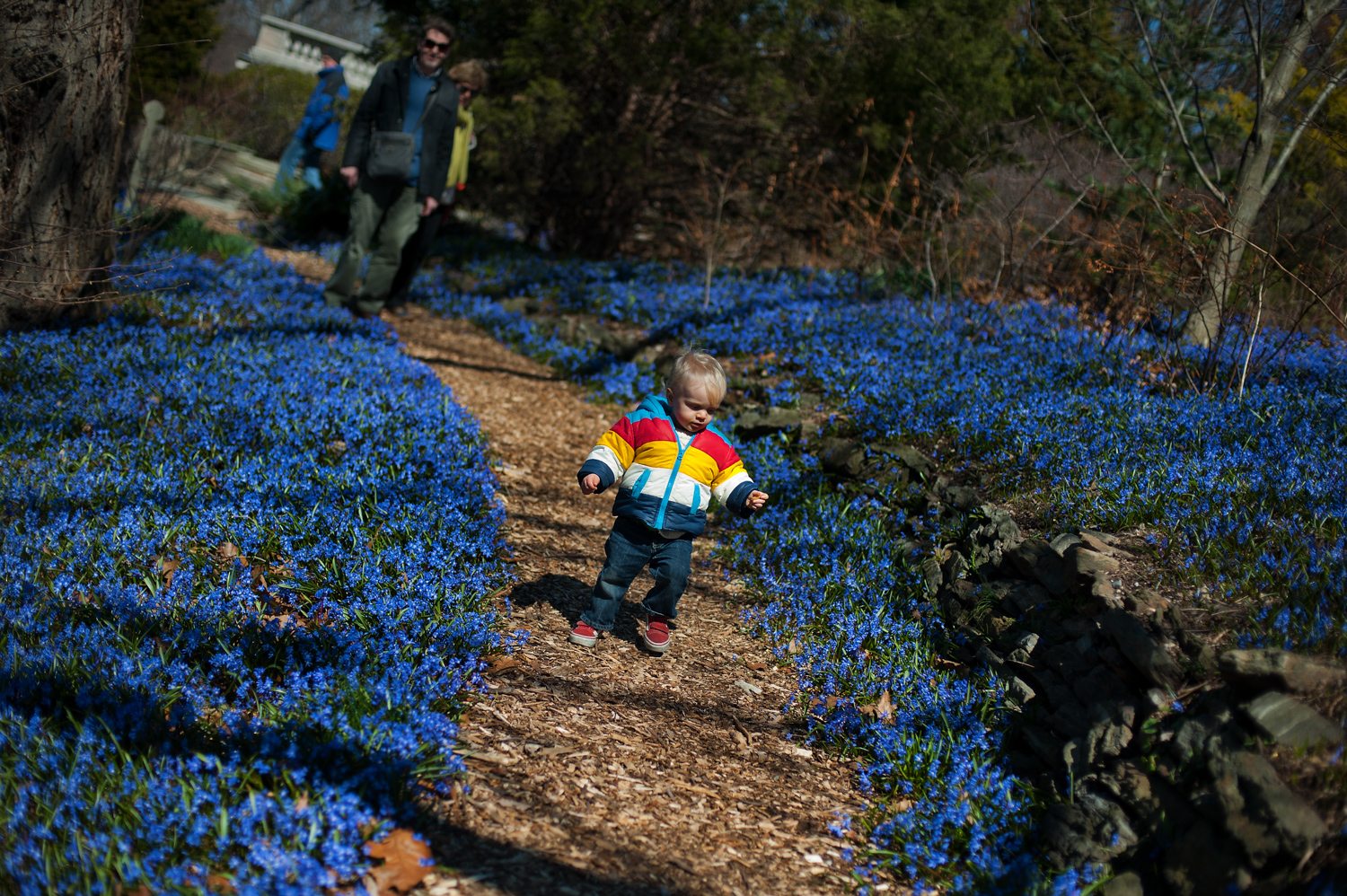 15 Places to Enjoy Nature in NYC