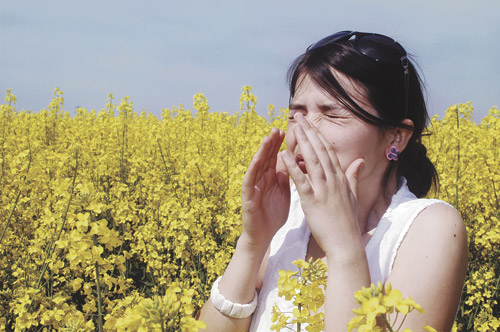 Immunotherapy for allergies