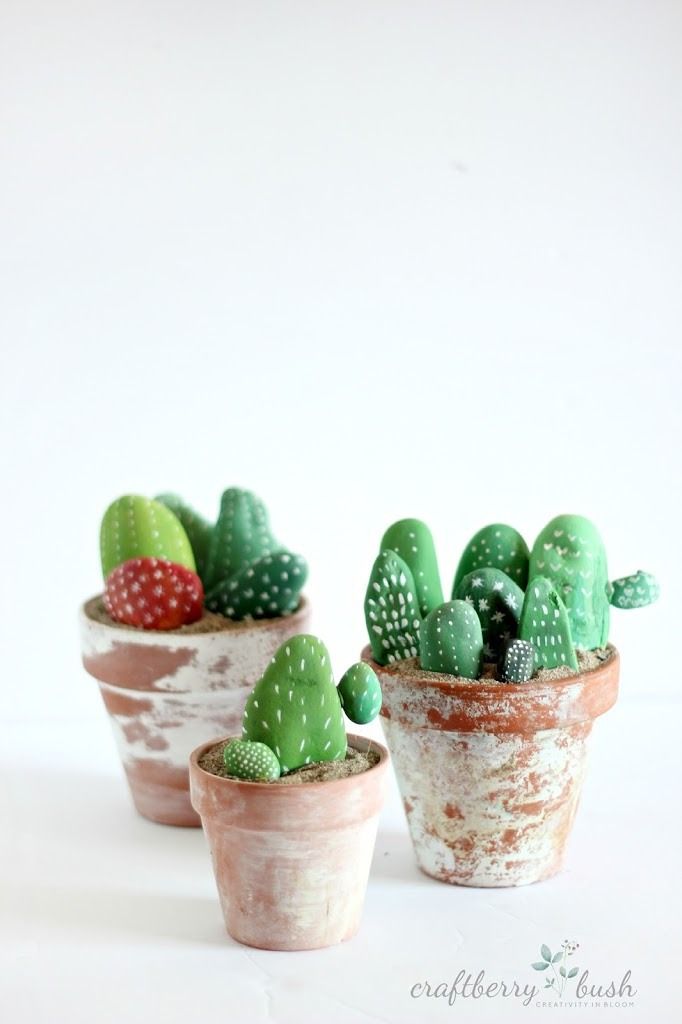 Rock Cacti