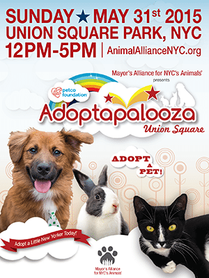 Adoptapalooza in Union Square Park 