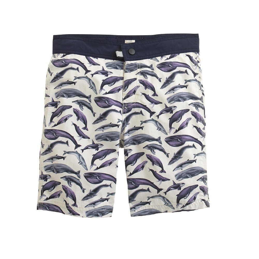 crewcuts Boys' Board Short in Whales