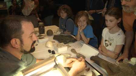 Identification Day at the American Museum of Natural History 