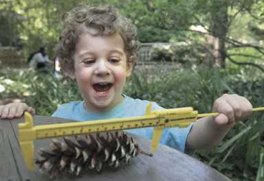 Frolic in the Garden