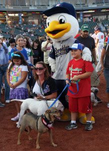 Bark in the Park at MCU Park