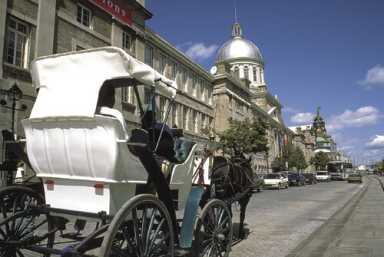 10 reasons to visit Montreal