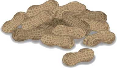 Keeping kids with food allergies safe