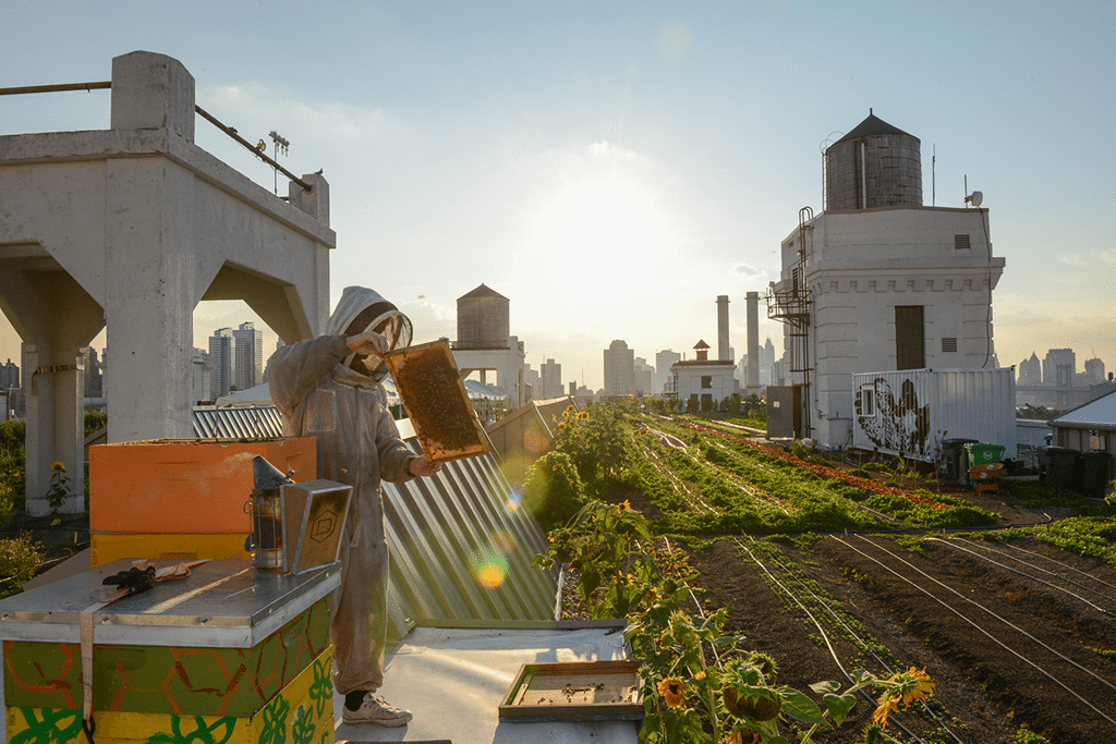 NYC Honey Week and Honey Fest