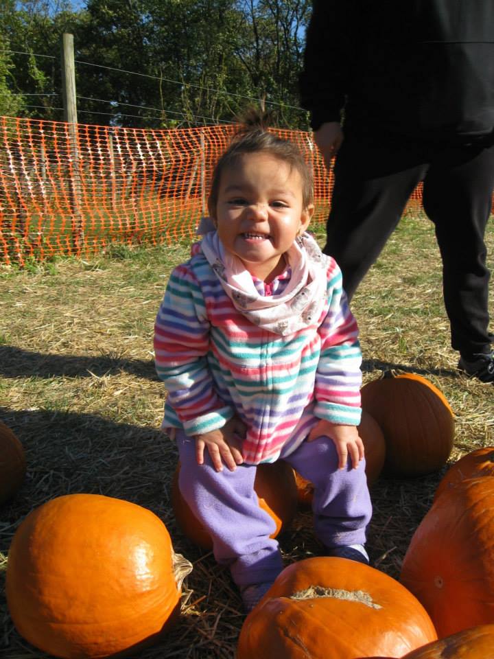 Pumpkin Patch at the Queens County Farm Museum 