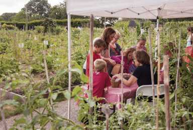 Explore the veggie garden