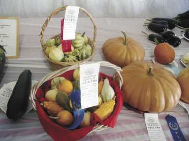 Queens County Farm Museum fun