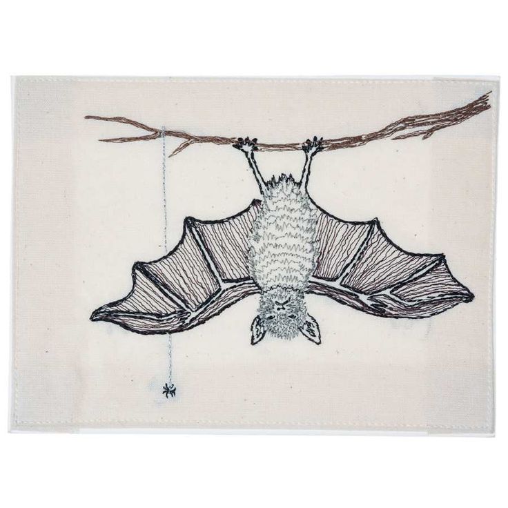 Coral & Tusk Bat Embroidered Stationery 