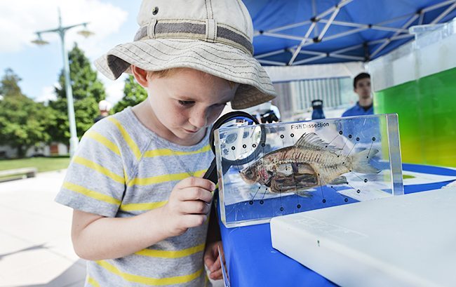 Submerge: NYC Marine Science Festival in Hudson River Park