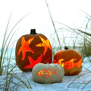 Squash on the Shore