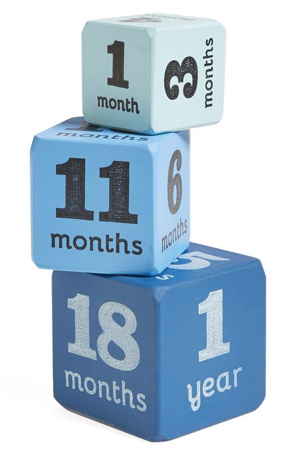 Baby Age Blocks by Tree By Kerri Lee