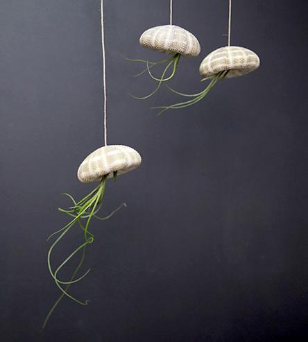 DIY-Jellyfish-Air-Plant-Hanging-Kit-makerskit-1433211775