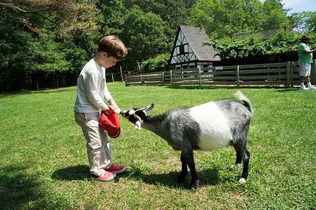 Making Friends at Harbes Farms