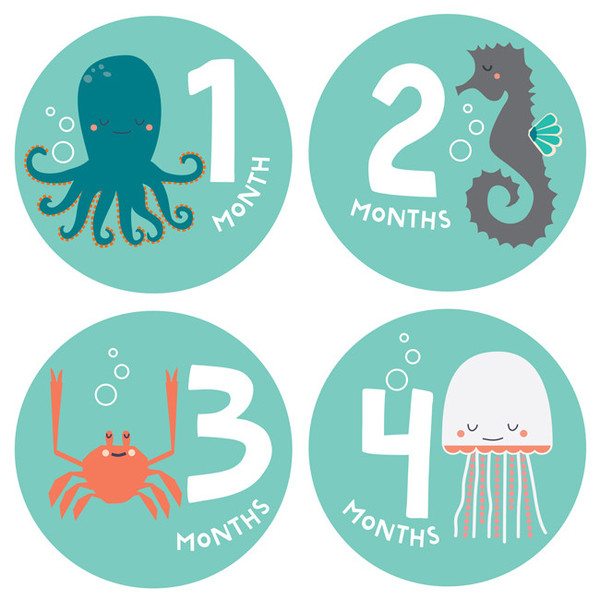 Snorkeling Adventure Monthly Stickers from Lucy Darling