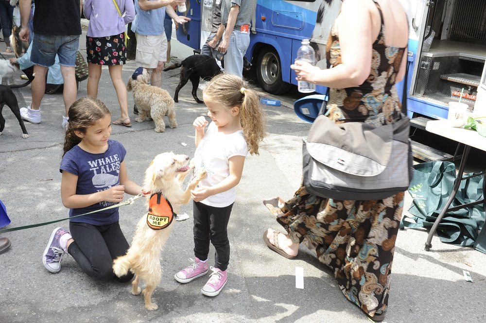 Adoptapalooza Union Square in Union Square Park 
