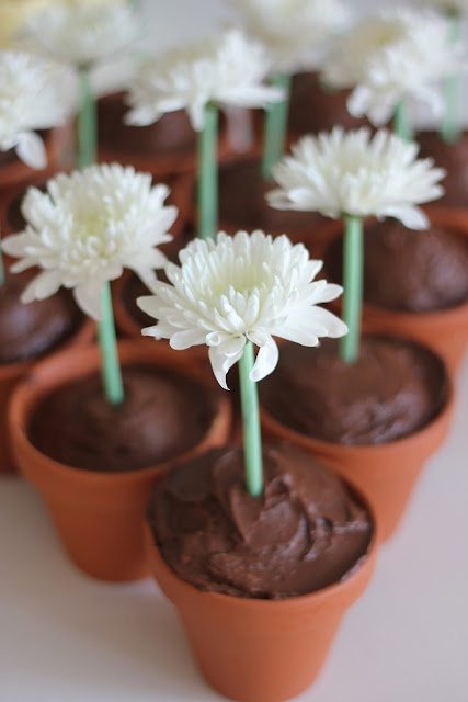 Garden Party