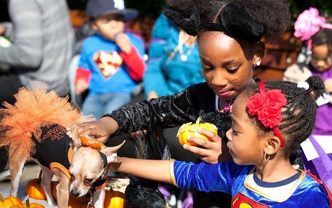 Harvest Festival in Brooklyn Bridge Park 