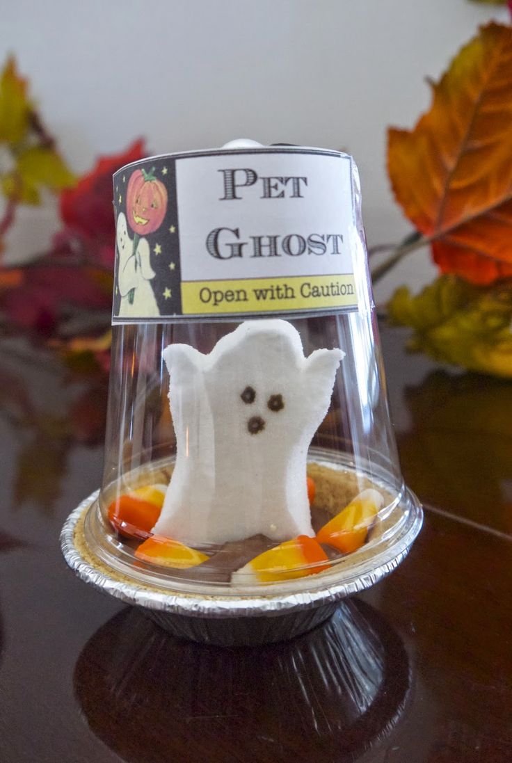 Pet Ghost