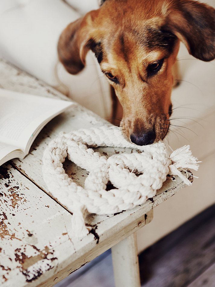 Jax and Bones Peace Sign Rope Dog Toy from Free People