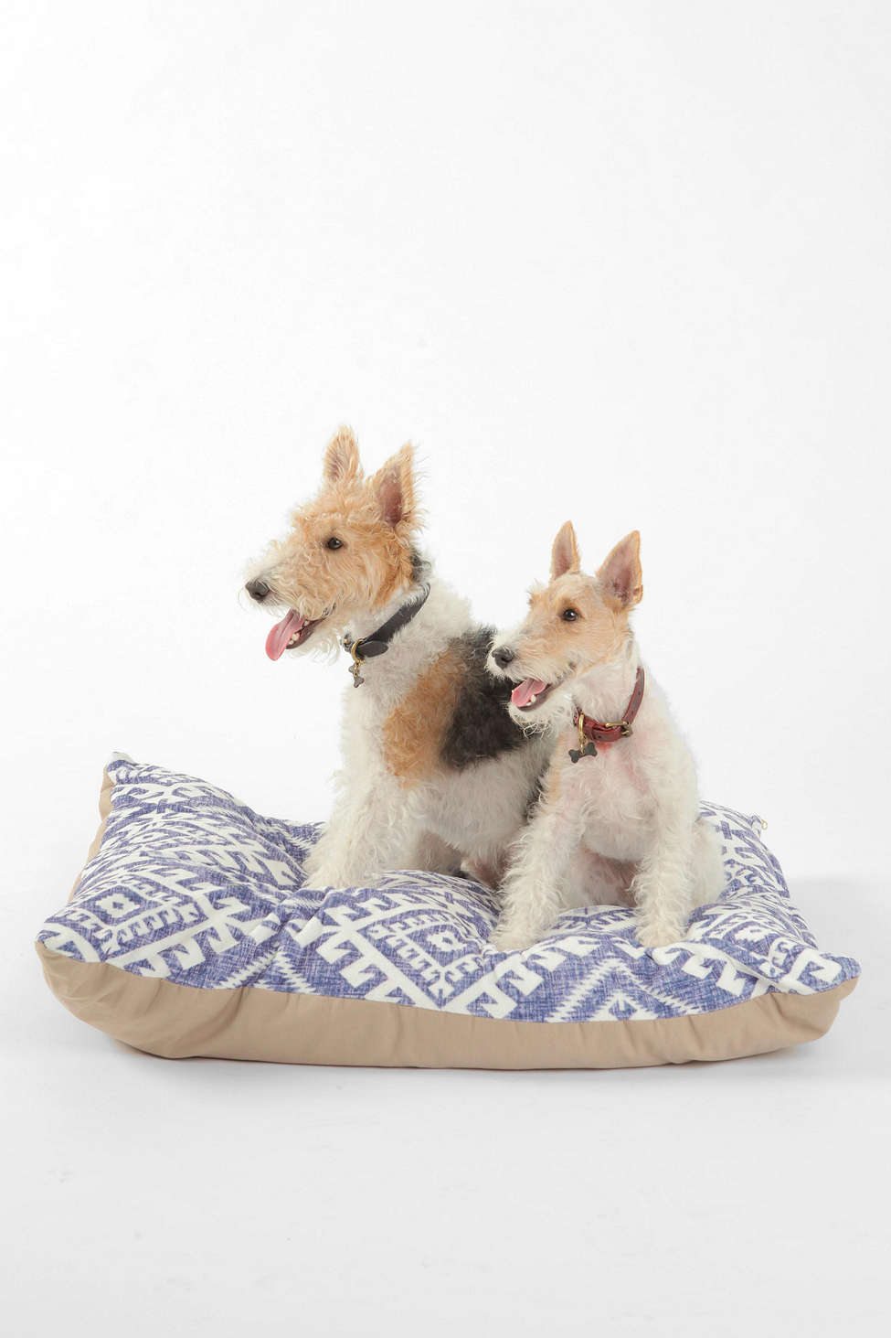 Holli Zollinger For DENY Shakami Denim Pet Bed from Urban Outfitters