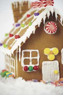 Making your holiday season the most FabuLyss